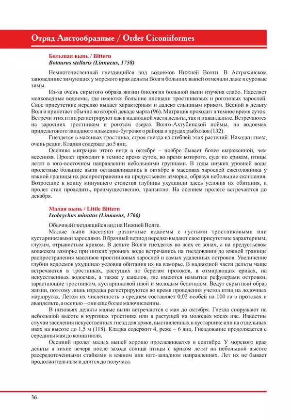 Герман Русанов - Птицы Нижней Волги - Страница № 36