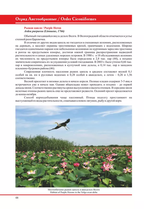 Герман Русанов - Птицы Нижней Волги - Страница № 48