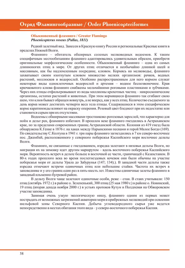 Герман Русанов - Птицы Нижней Волги - Страница № 58