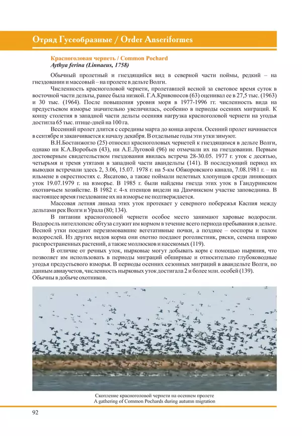 Герман Русанов - Птицы Нижней Волги - Страница № 92