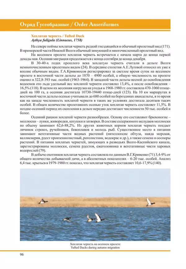 Герман Русанов - Птицы Нижней Волги - Страница № 96