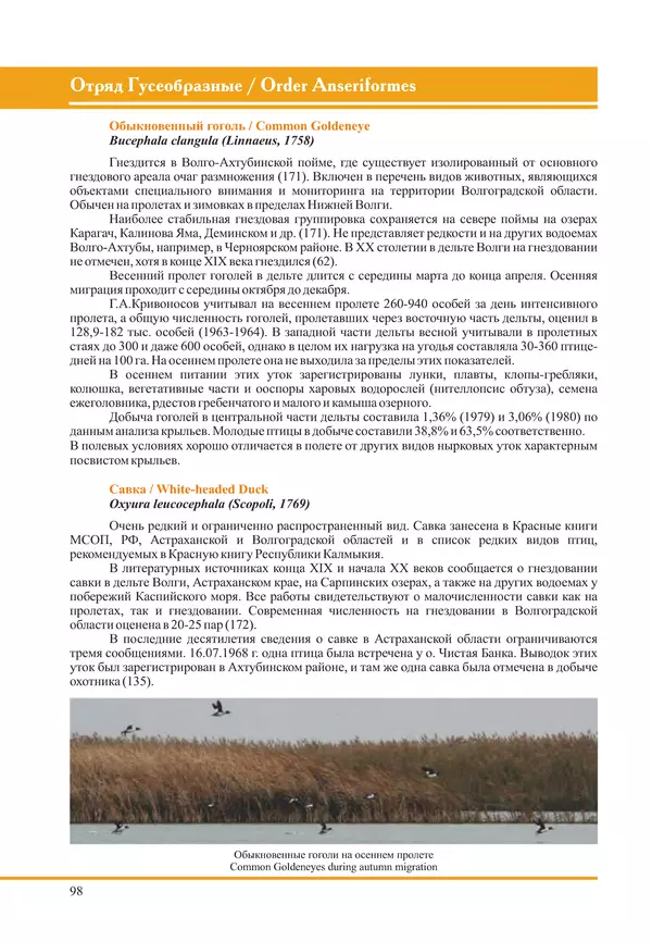 Герман Русанов - Птицы Нижней Волги - Страница № 98