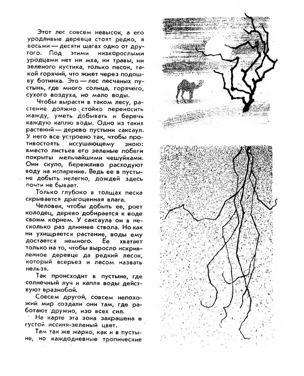 Анатолий Маркуша - Большой дом человечества - Страница № 109