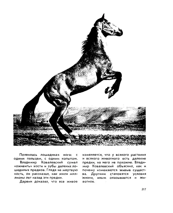 Анатолий Маркуша - Большой дом человечества - Страница № 217