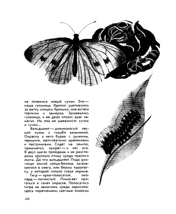 Анатолий Маркуша - Большой дом человечества - Страница № 224