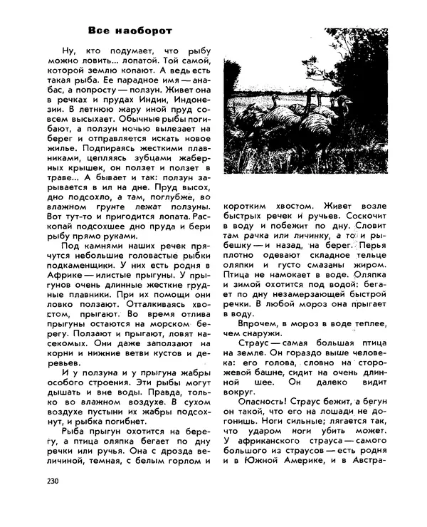 Анатолий Маркуша - Большой дом человечества - Страница № 230