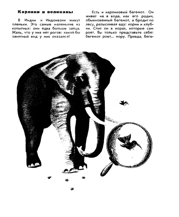 Анатолий Маркуша - Большой дом человечества - Страница № 239