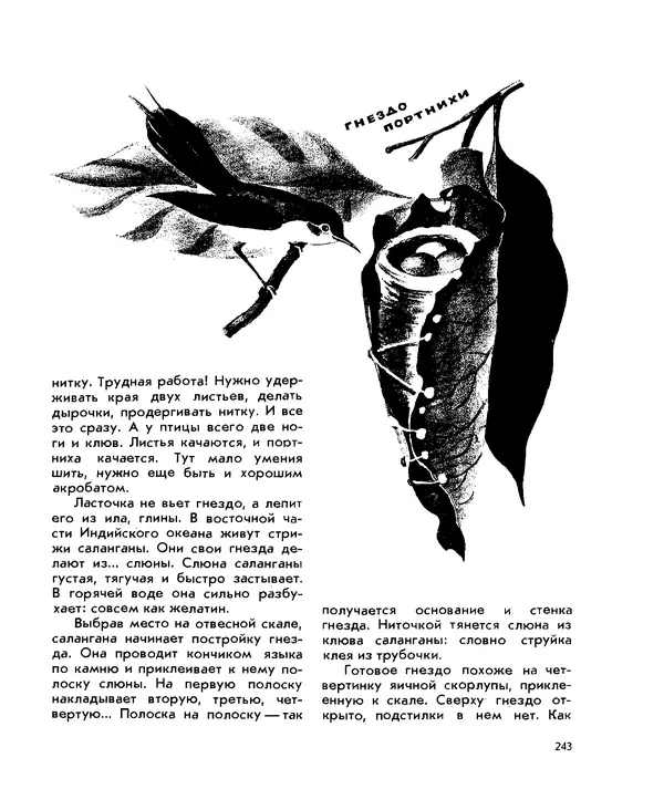 Анатолий Маркуша - Большой дом человечества - Страница № 243