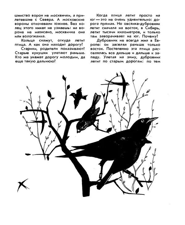 Анатолий Маркуша - Большой дом человечества - Страница № 247