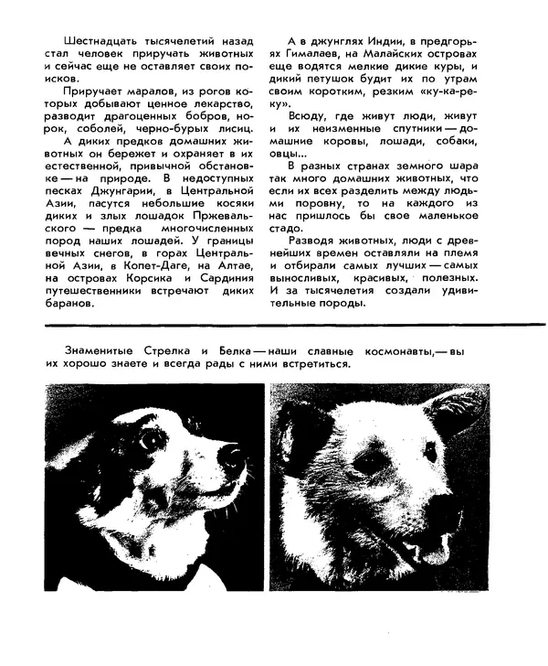 Анатолий Маркуша - Большой дом человечества - Страница № 257