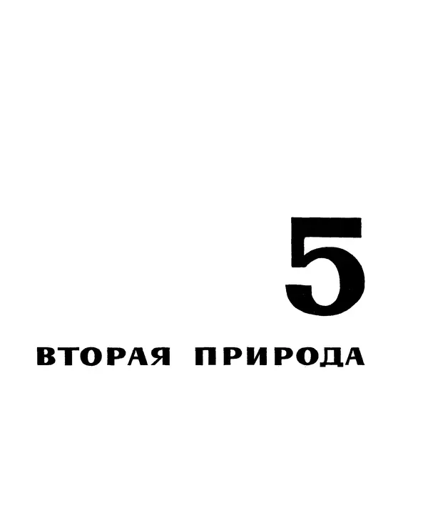 Анатолий Маркуша - Большой дом человечества - Страница № 259