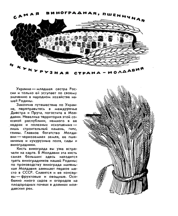 Анатолий Маркуша - Большой дом человечества - Страница № 379