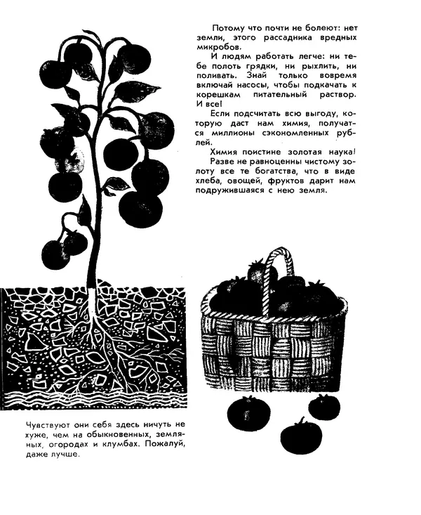 Анатолий Маркуша - Большой дом человечества - Страница № 407