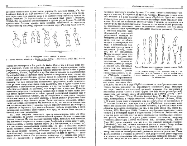 Коллектив авторов - Проблемы эволюции, том 1 - Страница № 13