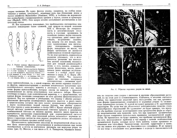  Коллектив авторов - Проблемы эволюции, том 1 - Страница № 14