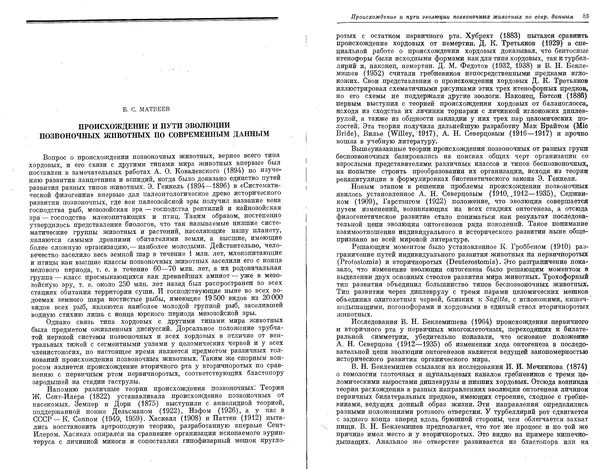  Коллектив авторов - Проблемы эволюции, том 1 - Страница № 43
