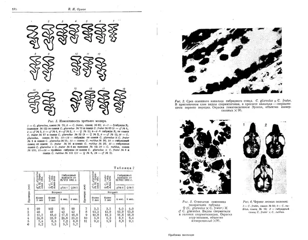  Коллектив авторов - Проблемы эволюции, том 1 - Страница № 96