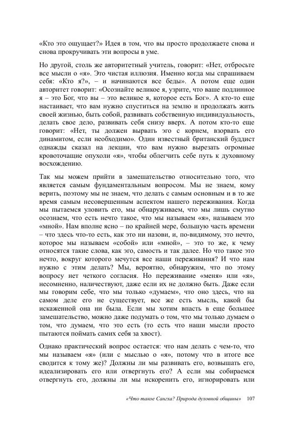Деннис Лингвуд - Что такое Сангха? - Страница № 107