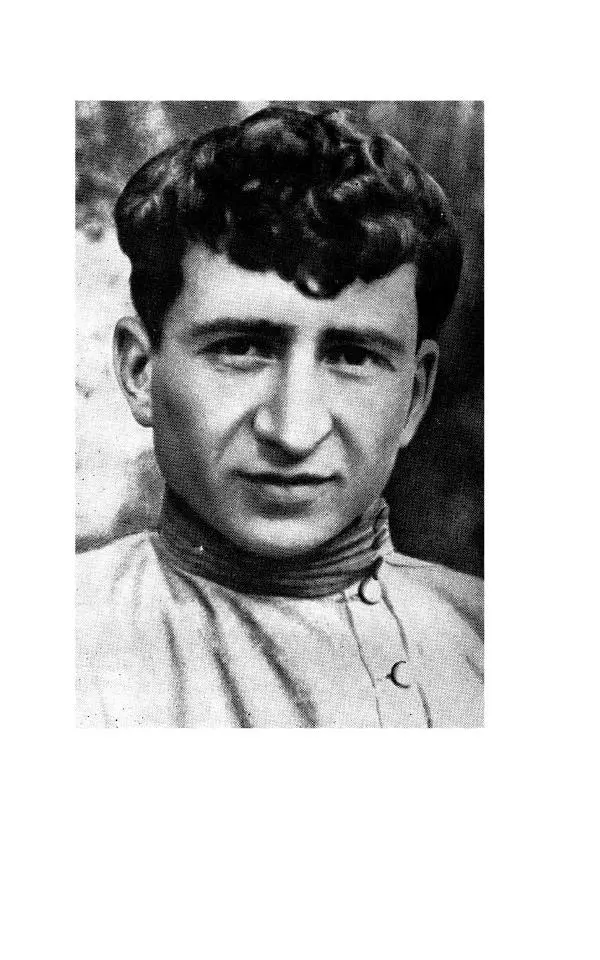 Егише Чаренц - Стихотворения и поэмы - Страница № 84