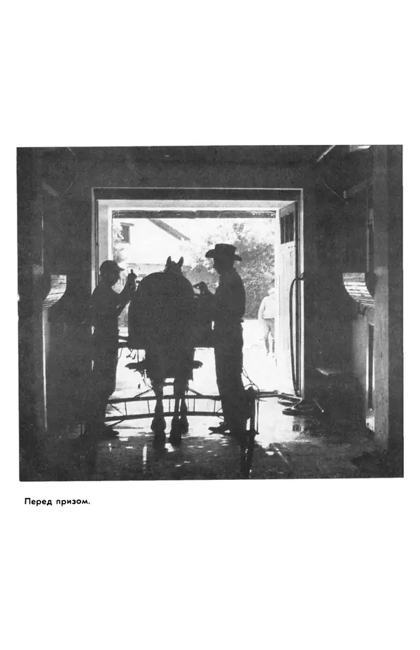  сборник «Бригантина» - Бригантина 1974 - Страница № 295