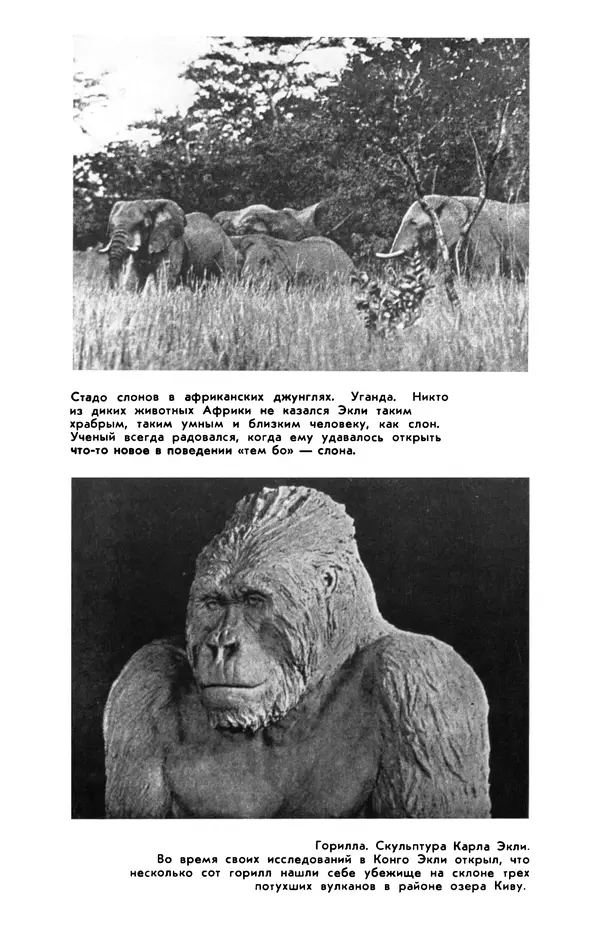  сборник «Бригантина» - Бригантина 1974 - Страница № 308