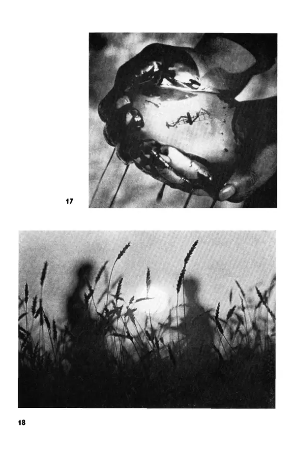  сборник «Бригантина» - Бригантина 1974 - Страница № 80