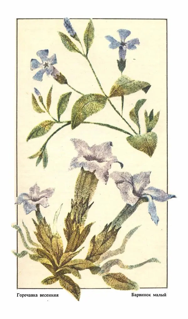 Павел Ященко - Природные национальные парки Украины - Страница № 36