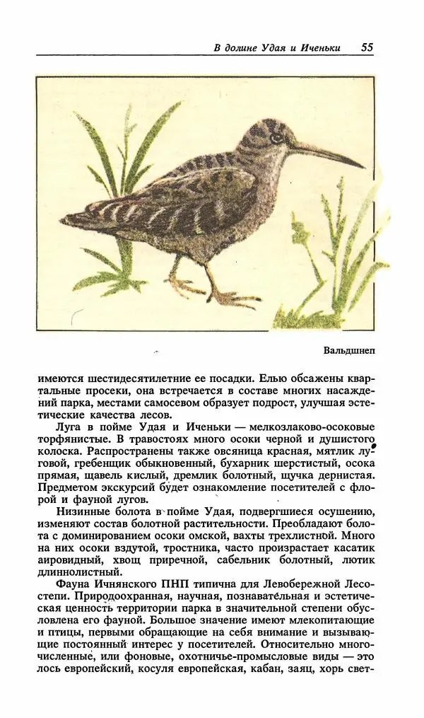 Павел Ященко - Природные национальные парки Украины - Страница № 56