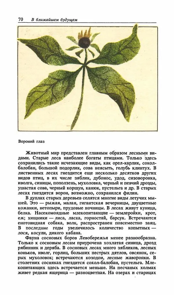 Павел Ященко - Природные национальные парки Украины - Страница № 71