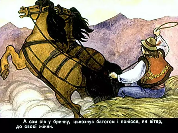 Юрій Северин - Як Тимофій відвіз панів до пекла - Страница № 30