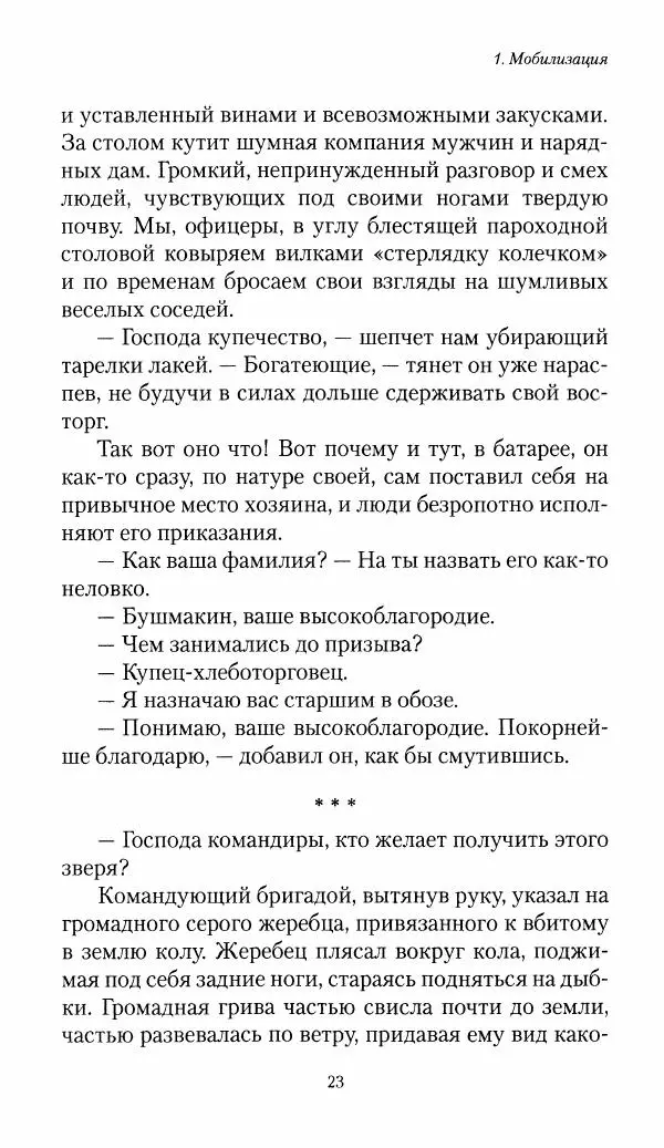 Болеслав Веверн - 6-я батарея: 1914-1917. Повесть о времени великого служения Родине - Страница № 24