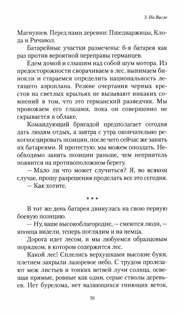Болеслав Веверн - 6-я батарея: 1914-1917. Повесть о времени великого служения Родине - Страница № 60