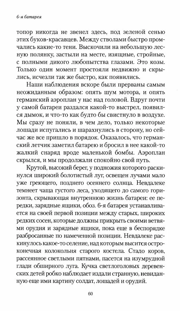 Болеслав Веверн - 6-я батарея: 1914-1917. Повесть о времени великого служения Родине - Страница № 61