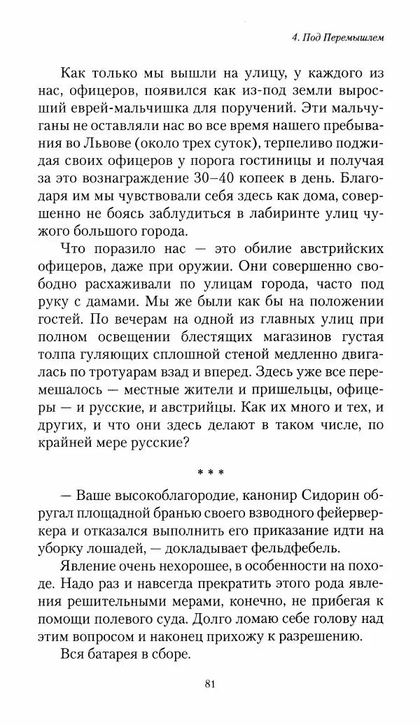 Болеслав Веверн - 6-я батарея: 1914-1917. Повесть о времени великого служения Родине - Страница № 82