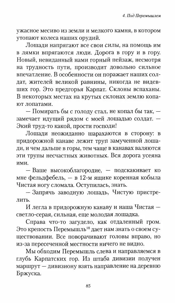 Болеслав Веверн - 6-я батарея: 1914-1917. Повесть о времени великого служения Родине - Страница № 86