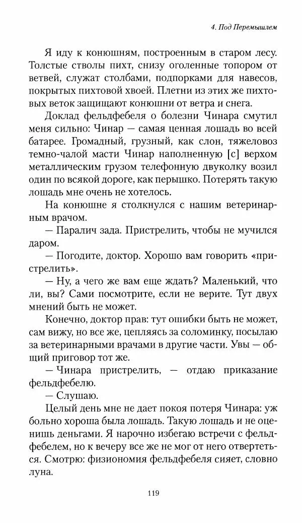 Болеслав Веверн - 6-я батарея: 1914-1917. Повесть о времени великого служения Родине - Страница № 120