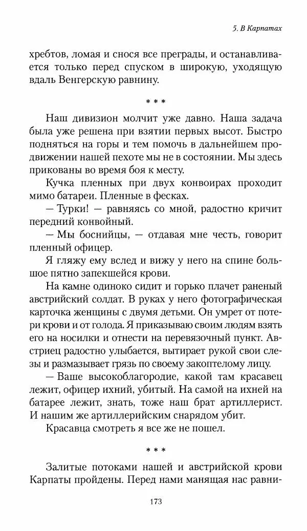 Болеслав Веверн - 6-я батарея: 1914-1917. Повесть о времени великого служения Родине - Страница № 174