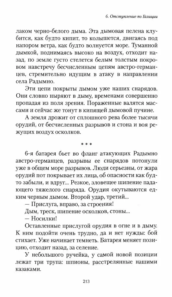 Болеслав Веверн - 6-я батарея: 1914-1917. Повесть о времени великого служения Родине - Страница № 214