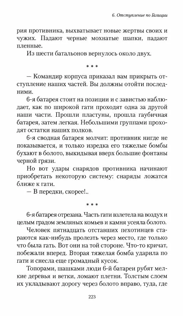 Болеслав Веверн - 6-я батарея: 1914-1917. Повесть о времени великого служения Родине - Страница № 224