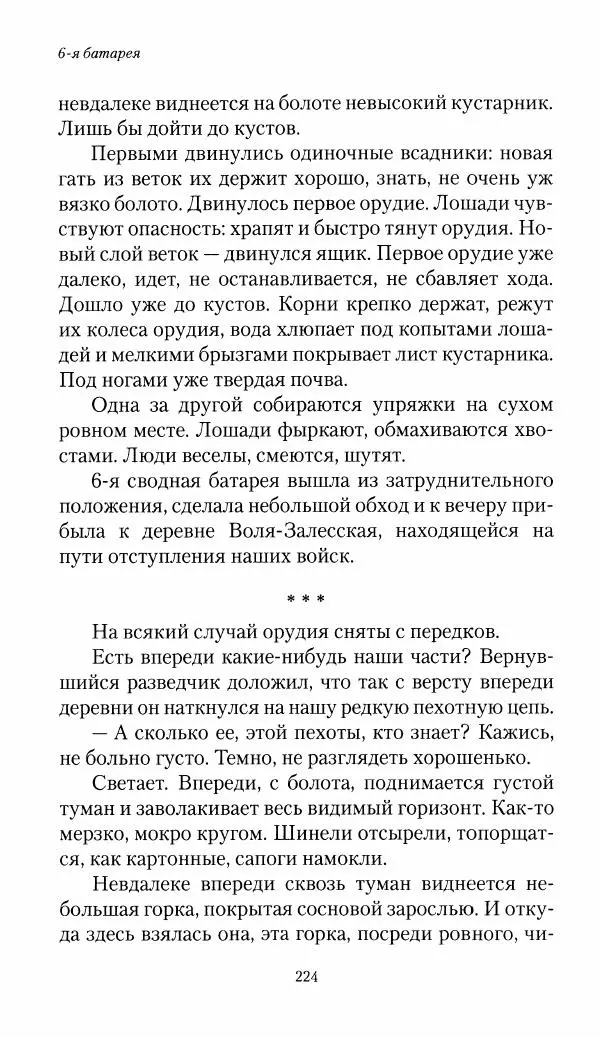 Болеслав Веверн - 6-я батарея: 1914-1917. Повесть о времени великого служения Родине - Страница № 225