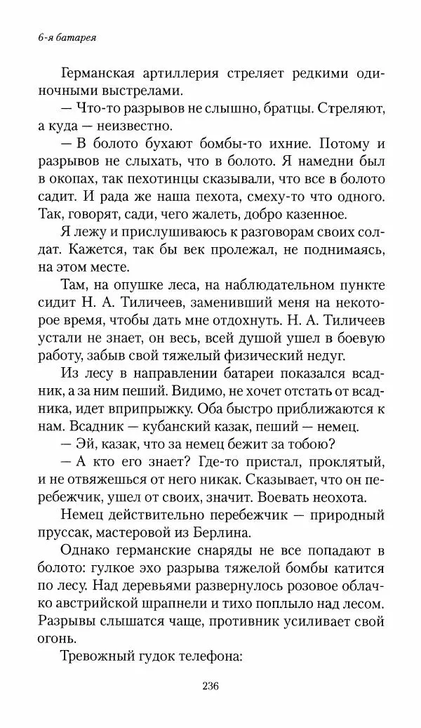 Болеслав Веверн - 6-я батарея: 1914-1917. Повесть о времени великого служения Родине - Страница № 237