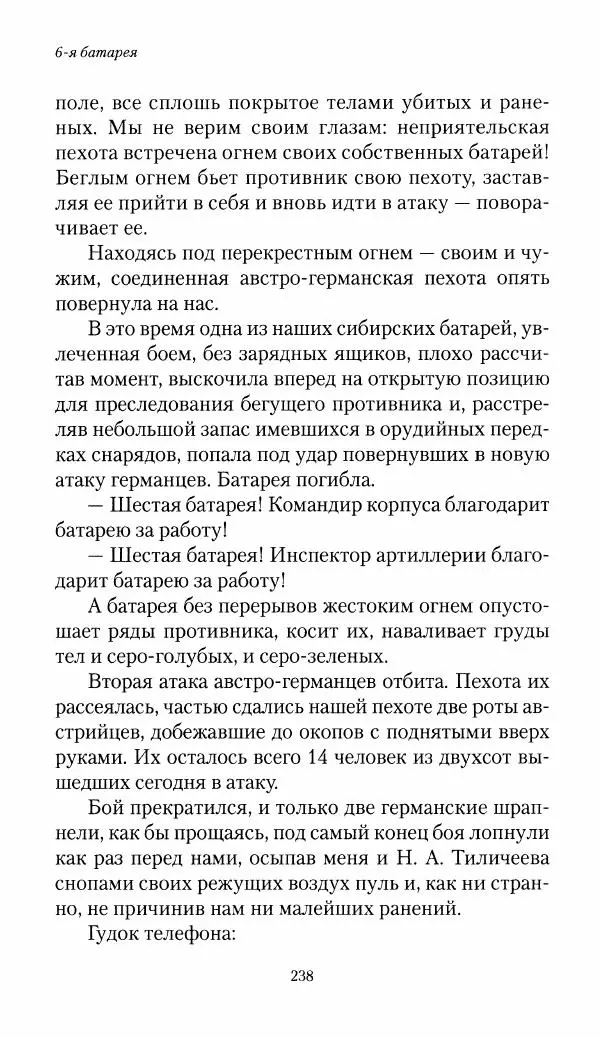 Болеслав Веверн - 6-я батарея: 1914-1917. Повесть о времени великого служения Родине - Страница № 239