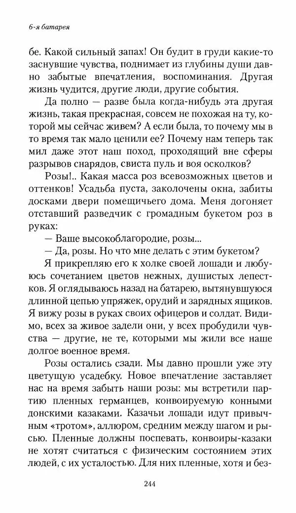 Болеслав Веверн - 6-я батарея: 1914-1917. Повесть о времени великого служения Родине - Страница № 245