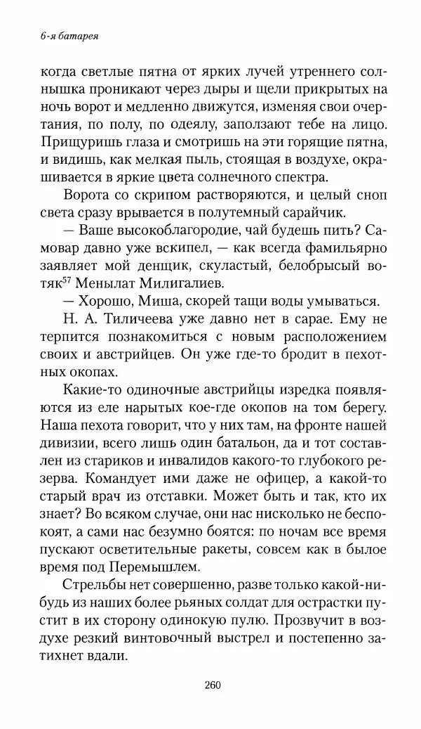 Болеслав Веверн - 6-я батарея: 1914-1917. Повесть о времени великого служения Родине - Страница № 261