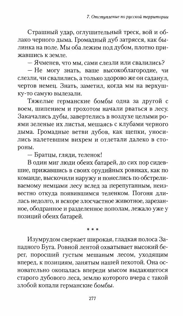 Болеслав Веверн - 6-я батарея: 1914-1917. Повесть о времени великого служения Родине - Страница № 278
