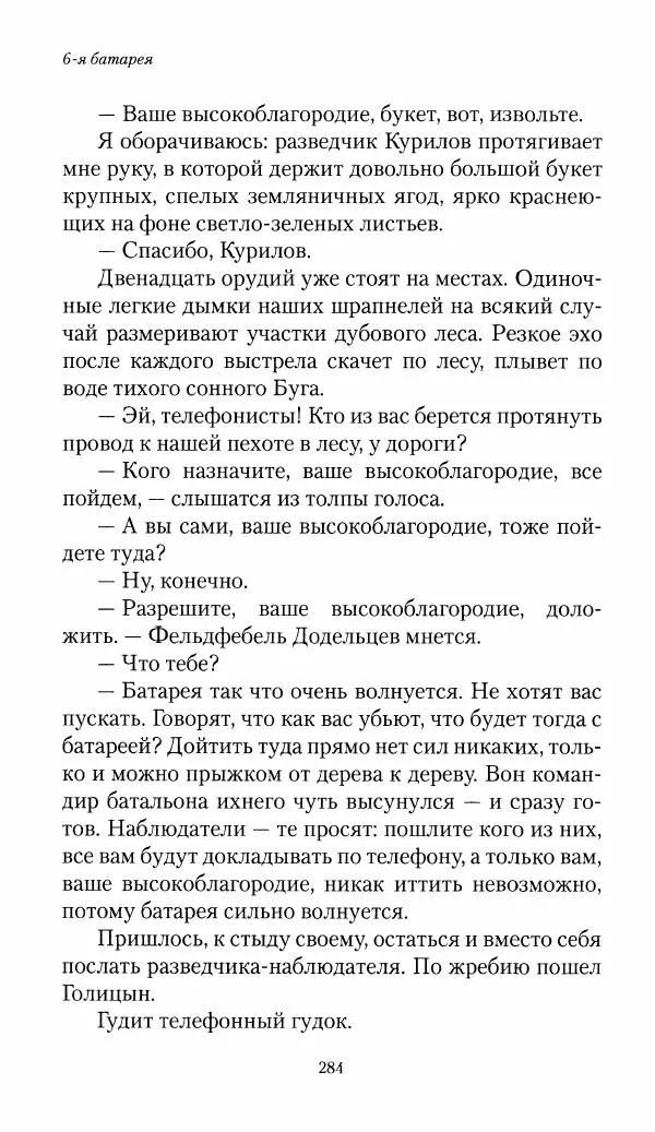 Болеслав Веверн - 6-я батарея: 1914-1917. Повесть о времени великого служения Родине - Страница № 285