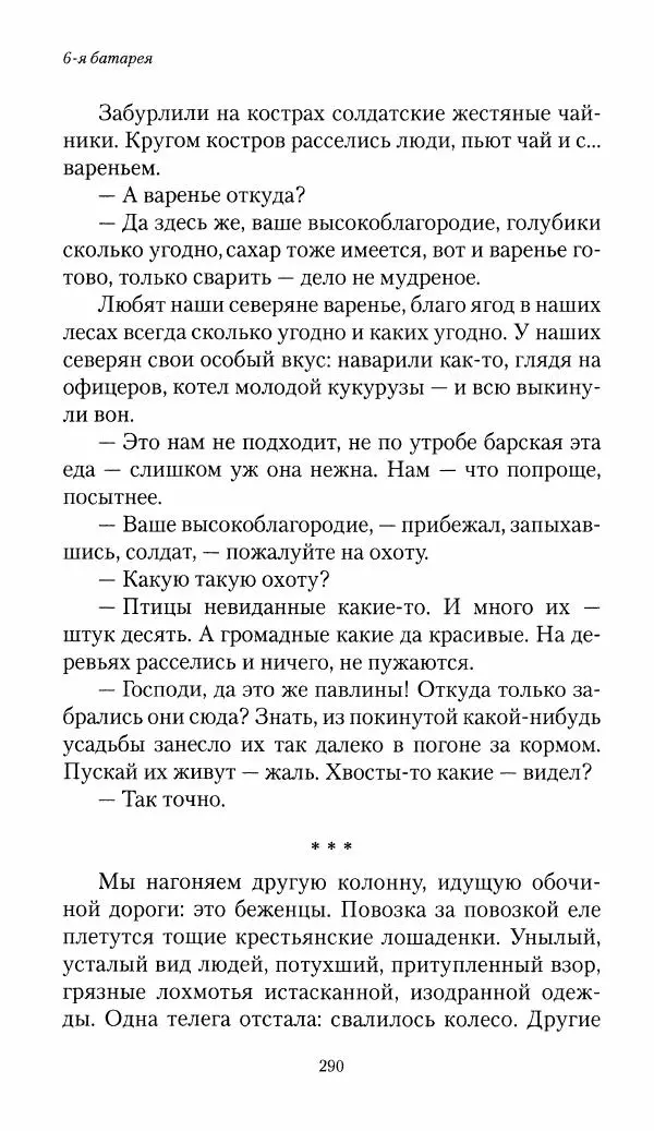 Болеслав Веверн - 6-я батарея: 1914-1917. Повесть о времени великого служения Родине - Страница № 291
