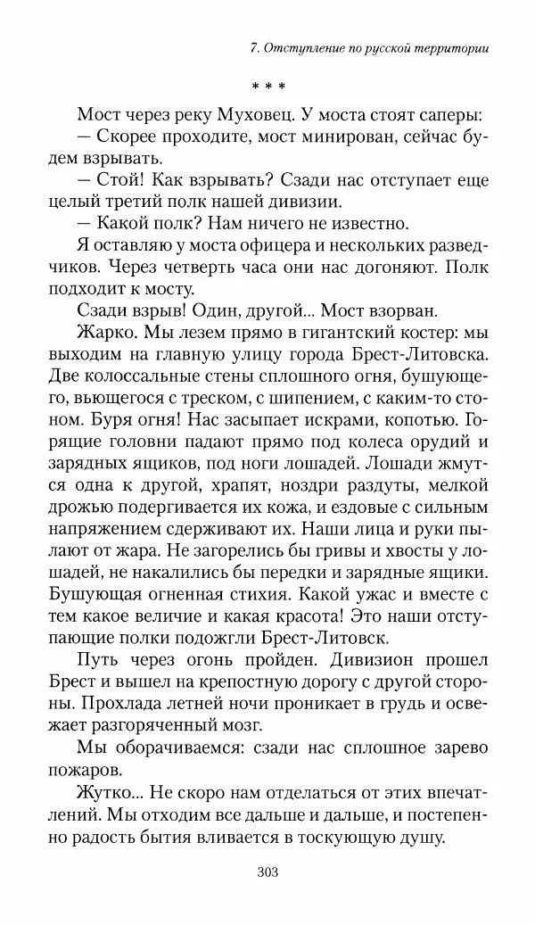 Болеслав Веверн - 6-я батарея: 1914-1917. Повесть о времени великого служения Родине - Страница № 304