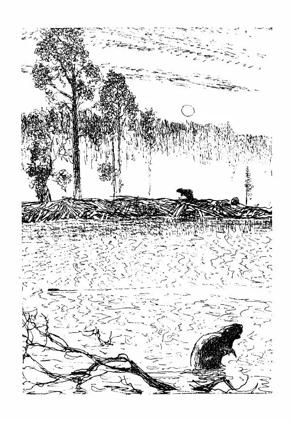 Эрик Кольер - Трое против дербрей - Страница № 4