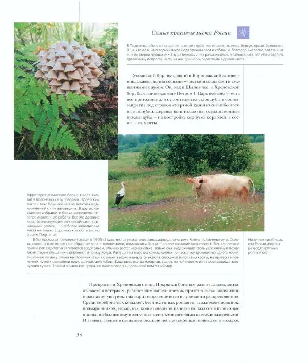  Коллектив авторов - Самые красивые места России - Страница № 61